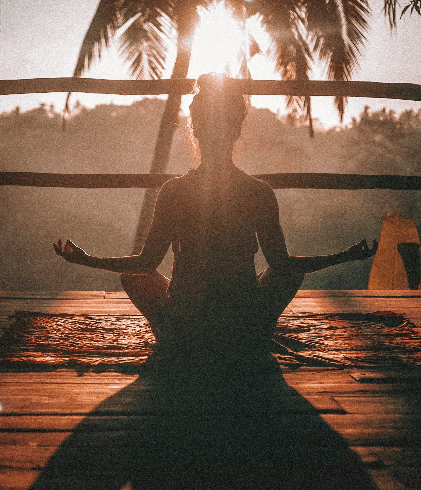 Top 10 Trends Shaping Contemporary Lifestyle Choices