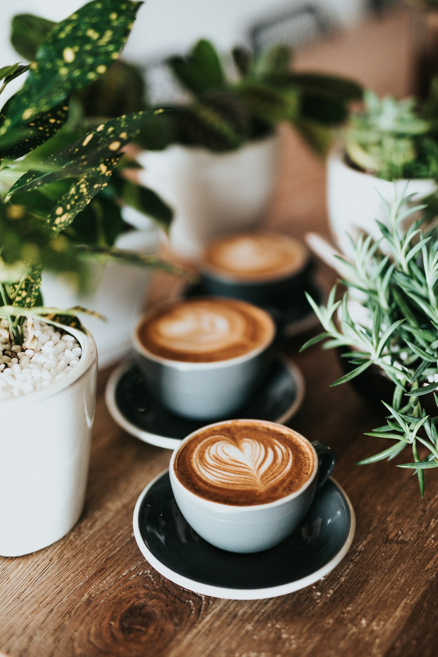 Fashion Tips for the Coffee Enthusiast